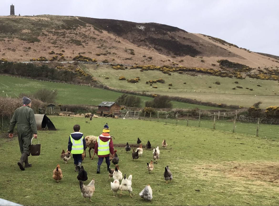 Reception And Year 1 Visit Knockaloe Beg Farm