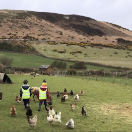 Reception And Year 1 Visit Knockaloe Beg Farm