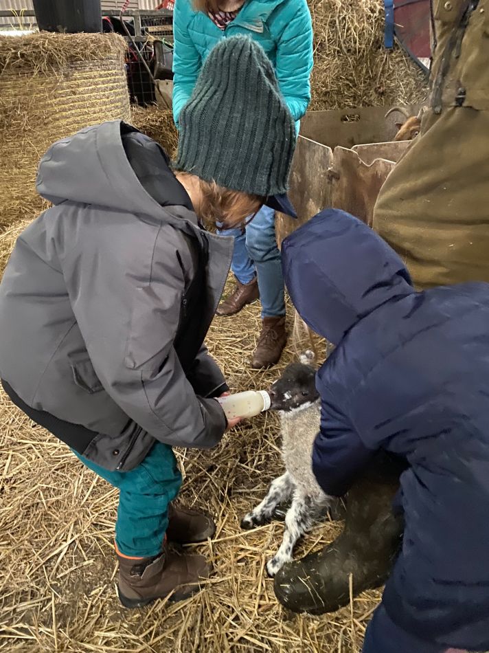 Year 1 Visit Knockaloe Beg Farm